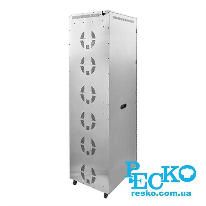 Дегидратор Frosty FFD-40H сушилка для пищевых продуктов овощей, фруктов, мяса, пастилы