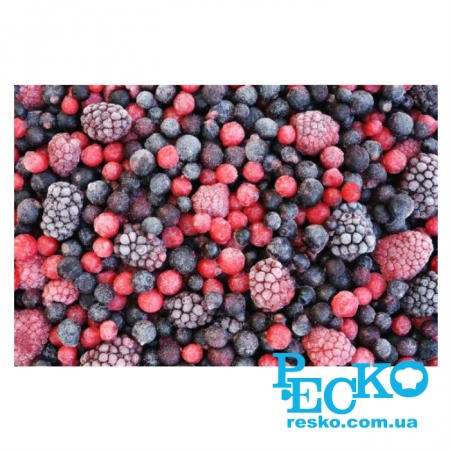 Аппарат шоковой заморозки Frosty BCF 20 шкаф шок фризер камера