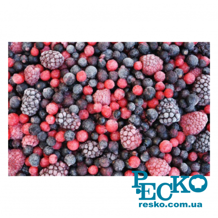 Апарат шокової заморозки Frosty BCF 60 шафа шок фризер камера